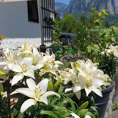 Apartment Haus Alpenblick Obertraun