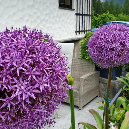 Haus Alpenblick Apartment *