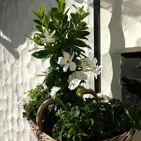 Haus Alpenblick Apartmán *