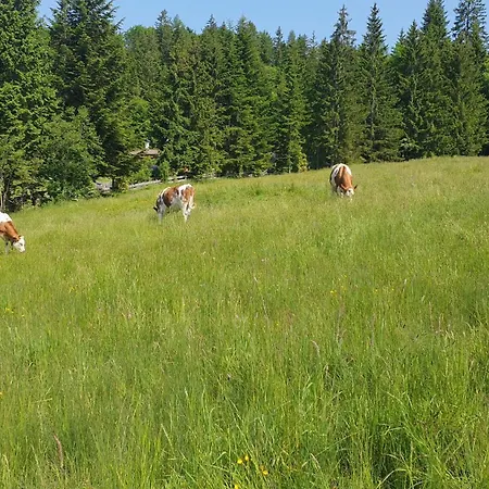 Haus Alpenblick Apartmán Obertraun