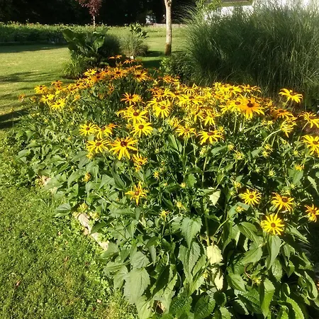 Haus Alpenblick * Obertraun