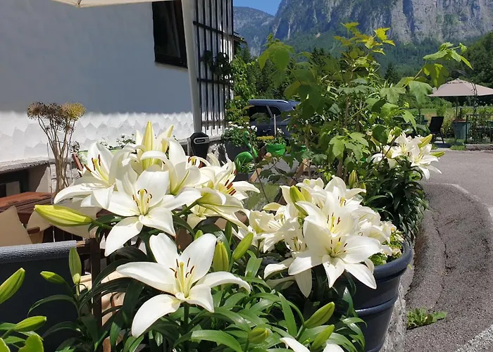 アパート Haus Alpenblick オーバートラウン