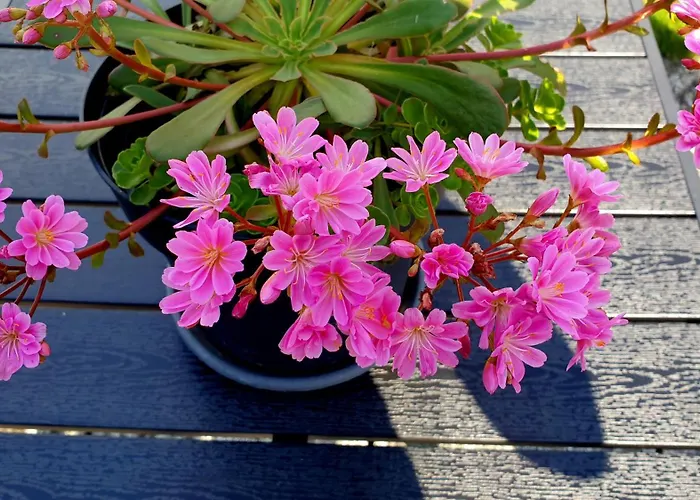 Haus Alpenblick Όμπερτραουν