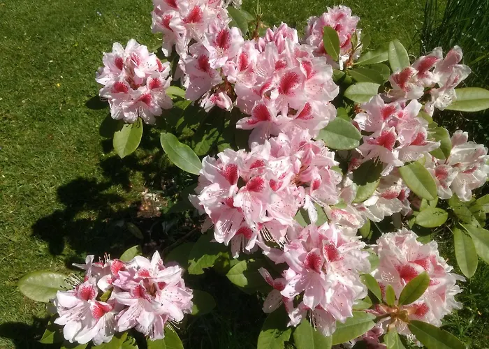 Haus Alpenblick Apartament