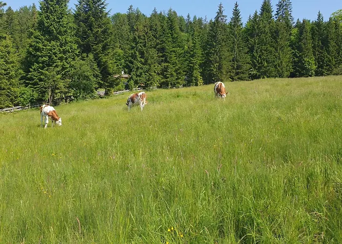 Haus Alpenblick アパート オーバートラウン