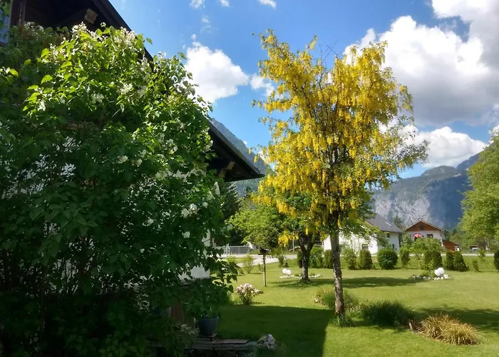 Διαμέρισμα Haus Alpenblick Όμπερτραουν