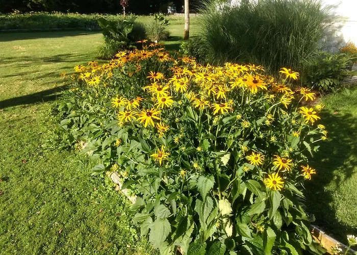 Haus Alpenblick * Όμπερτραουν