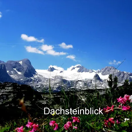 Lejlighed Haus Alpenblick *