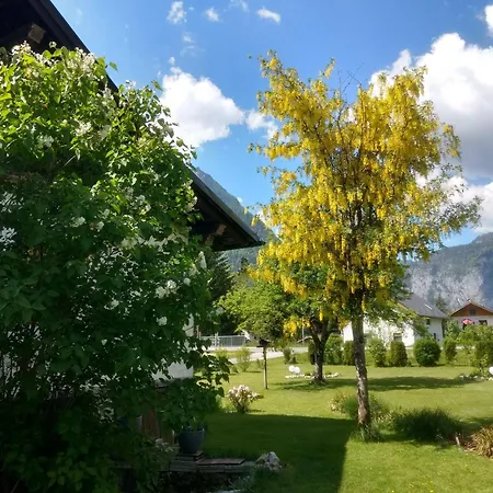 Lejlighed Haus Alpenblick Obertraun