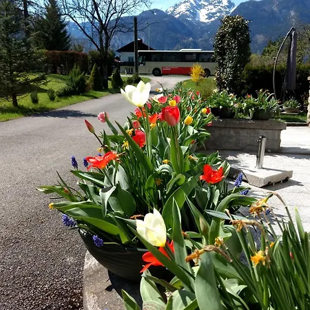Haus Alpenblick Lejlighed Obertraun