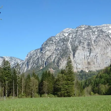 Lejlighed Haus Alpenblick