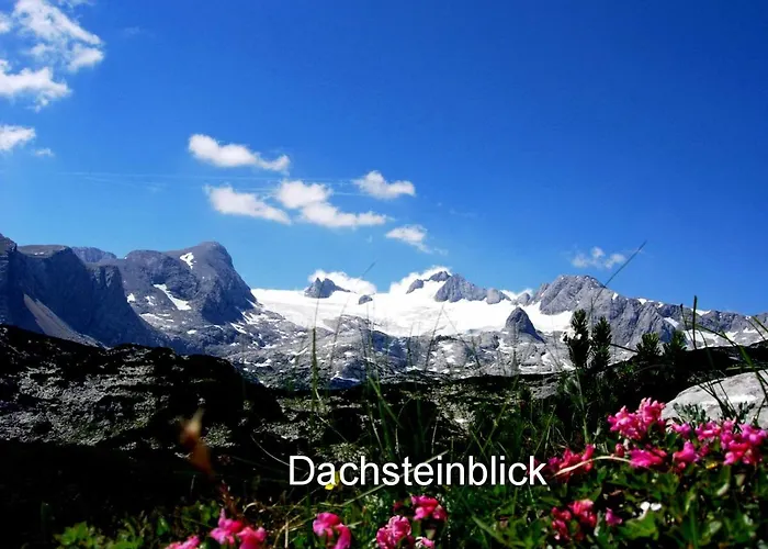 Apartment Haus Alpenblick *