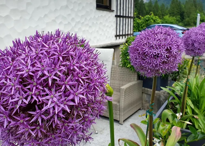 Haus Alpenblick Apartment *