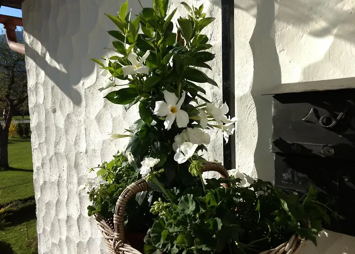 Haus Alpenblick Apartment *